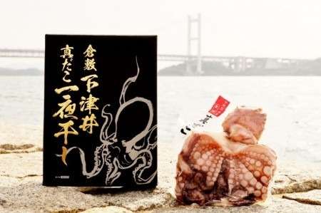 下津井真だこ一夜干し